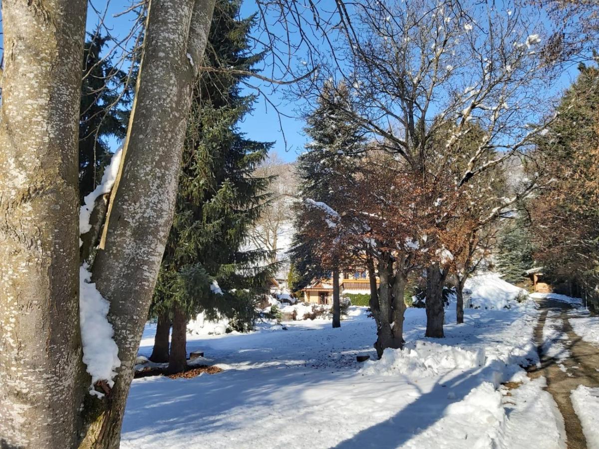 B&B Pension Karlsdorfer Hof Seeboden Zewnętrze zdjęcie
