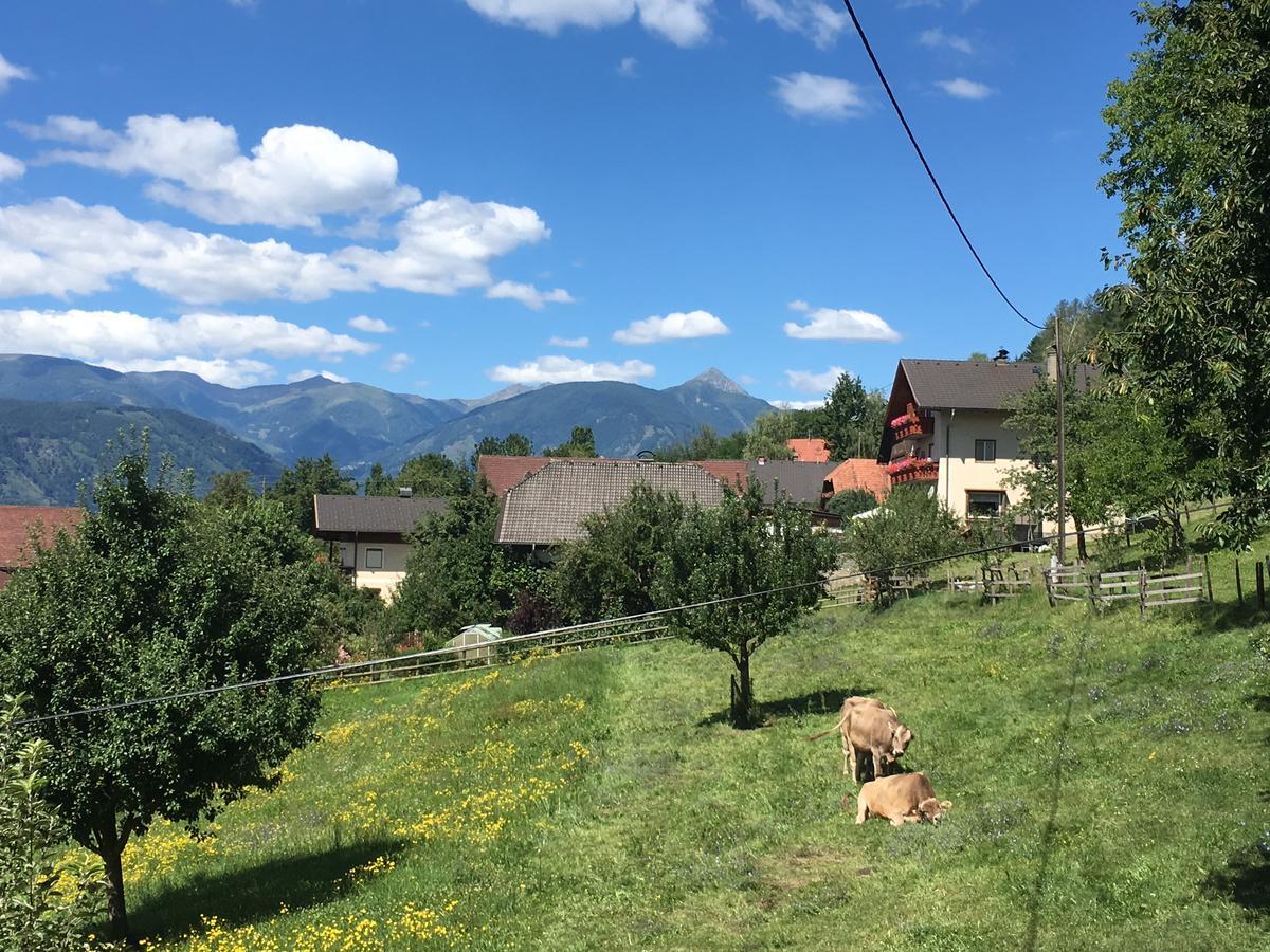 B&B Pension Karlsdorfer Hof Seeboden Zewnętrze zdjęcie